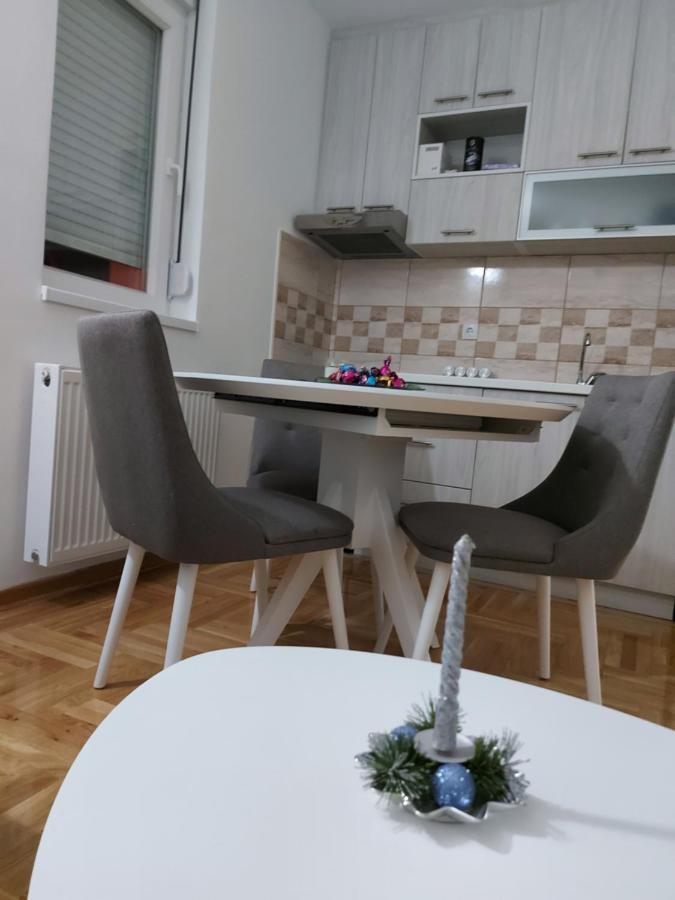 Vrnjacka Banja Apartman 外观 照片
